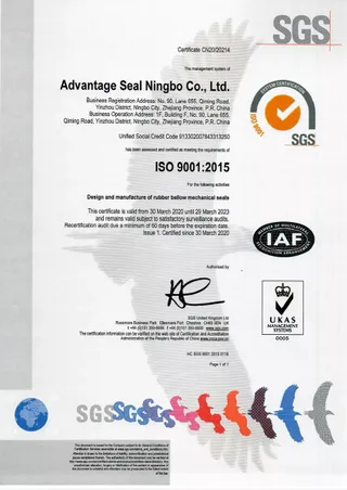 ISO 9001